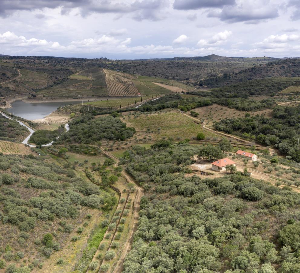 Quinta da Vineadouro - Family Vineyards & Wine Hotel